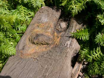 Plank on other side of stream Plank on other side of stream